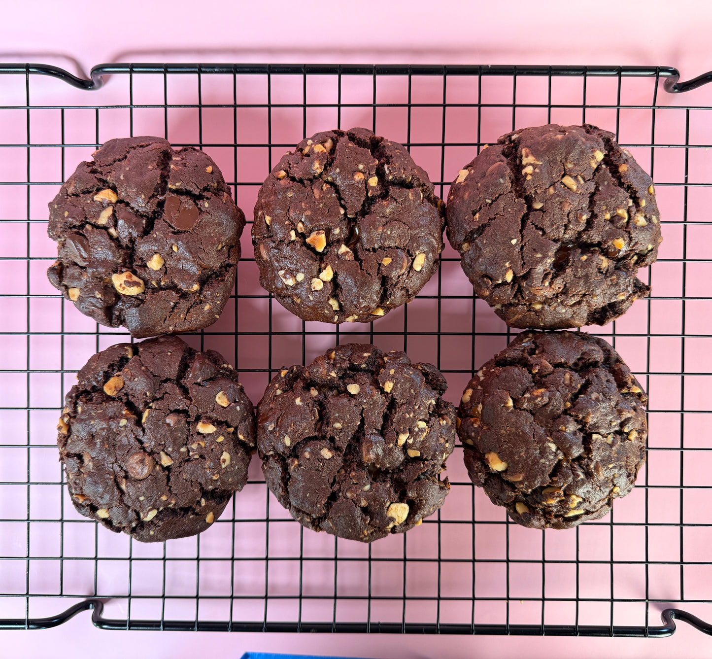 JUMBO CHOCOLATE HALZENUTS COOKIE FILLED WITH CARAMEL